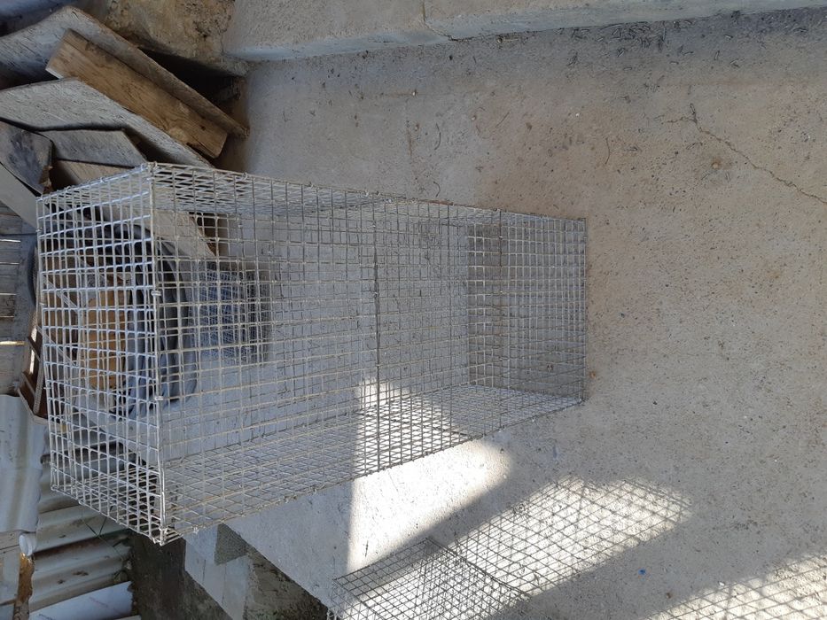 Клетка для перевозки птиц