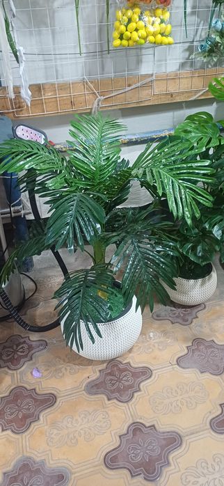 Suniy gullar va patistafkalar sotiladi