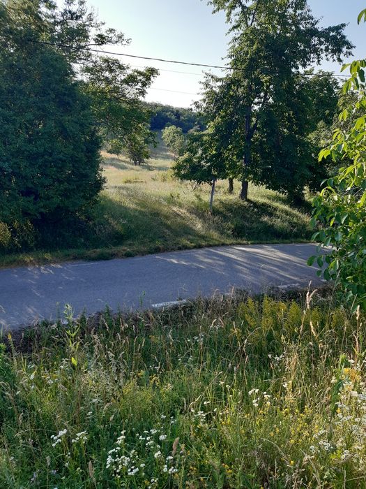Teren cu livada 15000mp