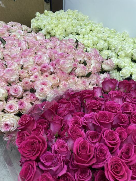 Тюльпаны и розы от 800тг