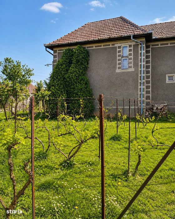 Casă cu anexe și teren 4.605 mp, front 36 m - posibil 2 locuri de casă