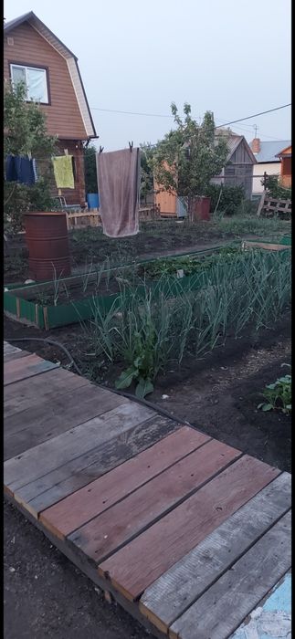 ДАЧЯ район Тёплого канала