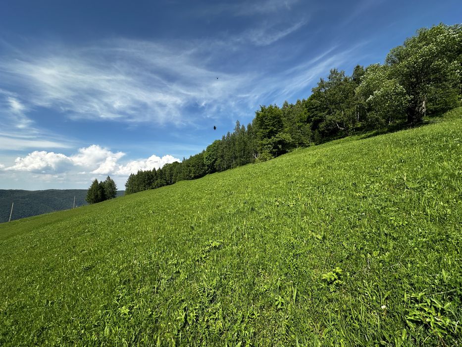 Vand teren extravilan Marisel