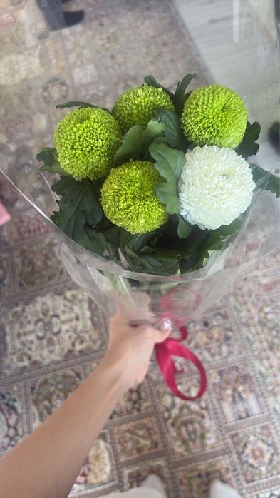 Трендовые цветы Момоко, город актау