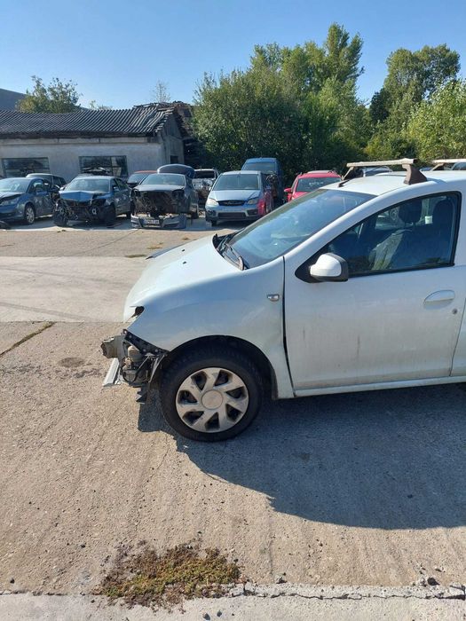 Usa Dacia Logan 2013, Stanga Spate