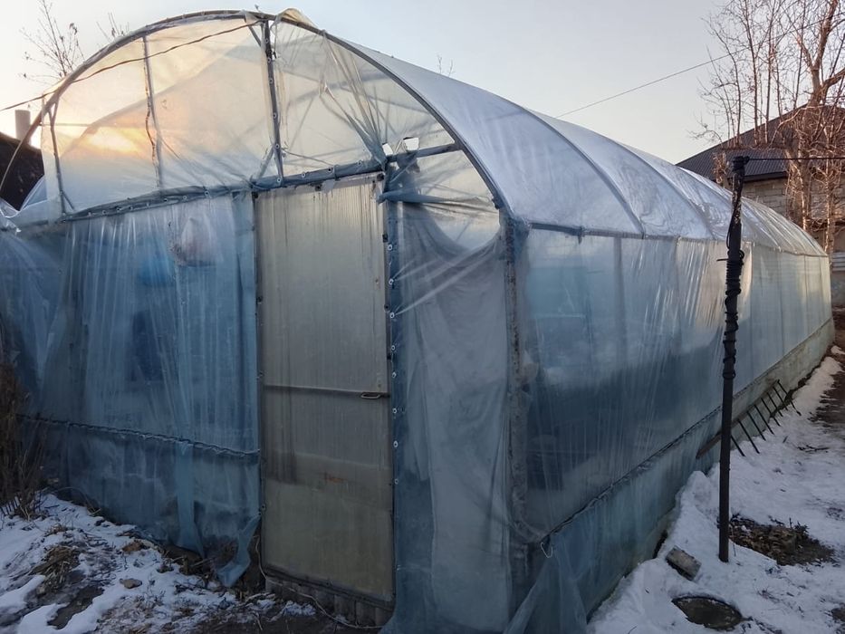 теплица в хорошем состоянии