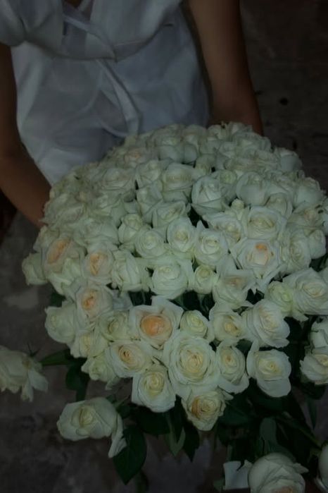 Ақ роза сатылады