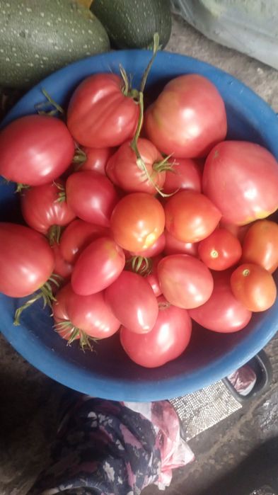 Продам домашние помидоры
