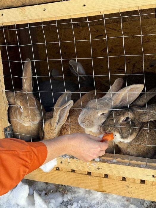 Сдам домик на Бухтарме