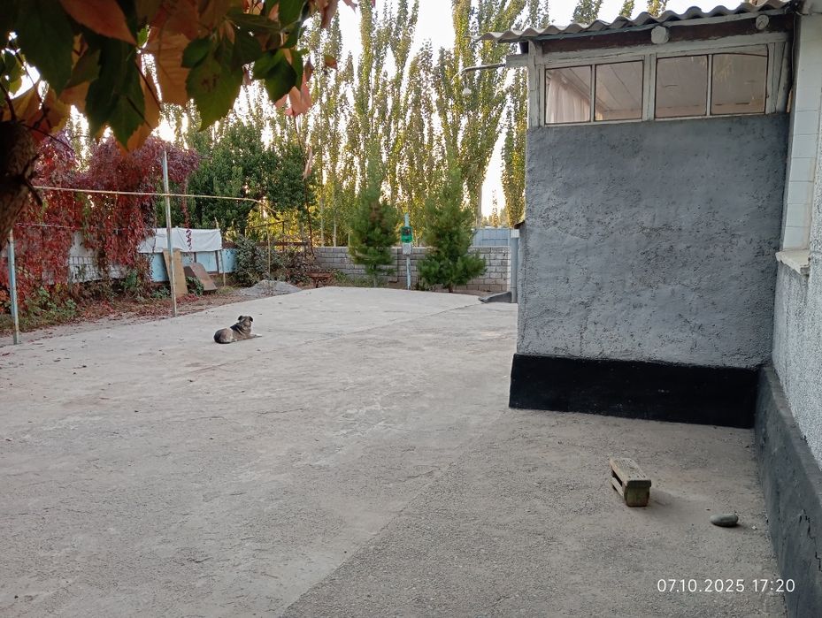 Бустонлик туманида 20 сотих уй сотилади.Булип сотиш варианти хам бор!