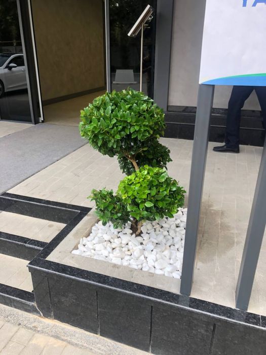 Галька белая для Ландшафта, Интерьера и т.п.