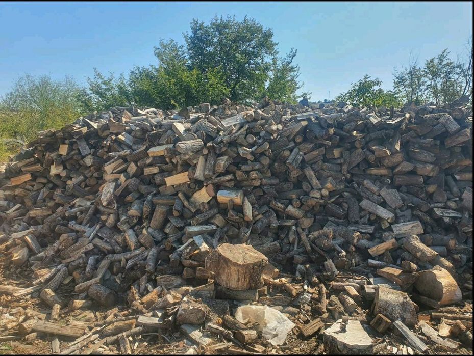 Дърва за Огрев 2024