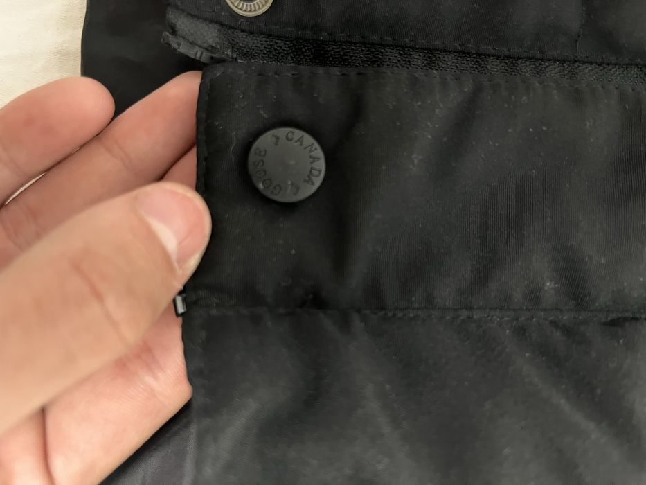 vesta canada goose