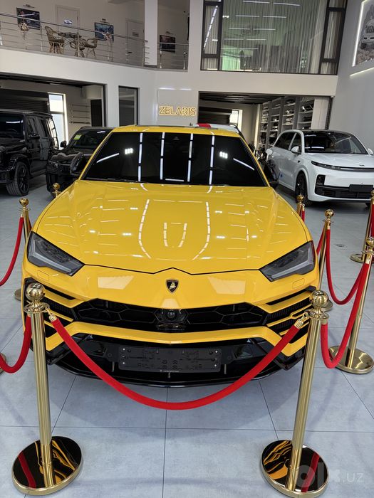 Lamborghini urus