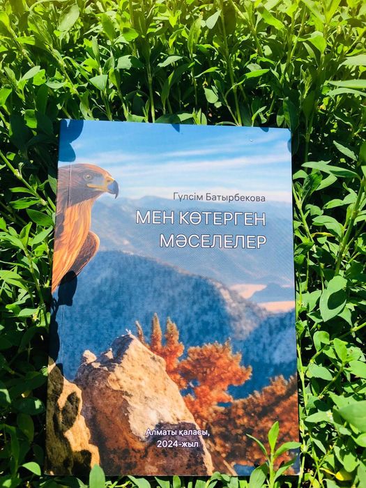 Мен көтерген мәселелер. Авторлық кітап.