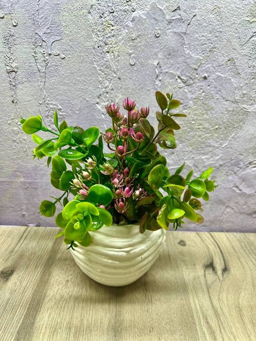 Интерьерные цветы