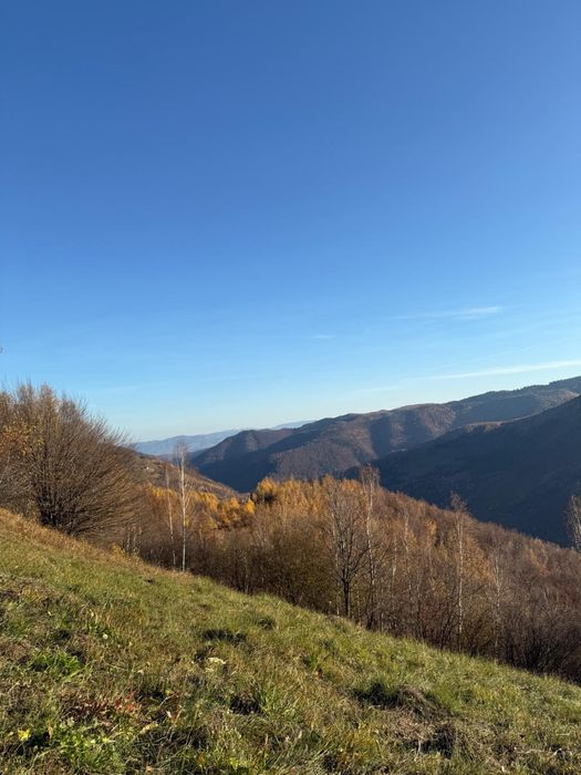 Teren Plopi Valea Ierii jud Cluj