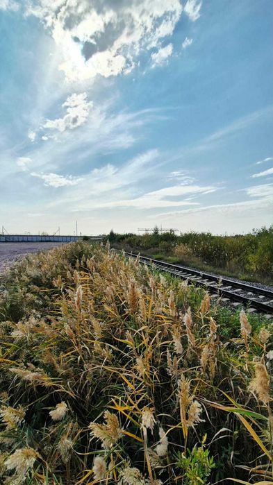 Участок, 120 сот., Батыр Баяна
