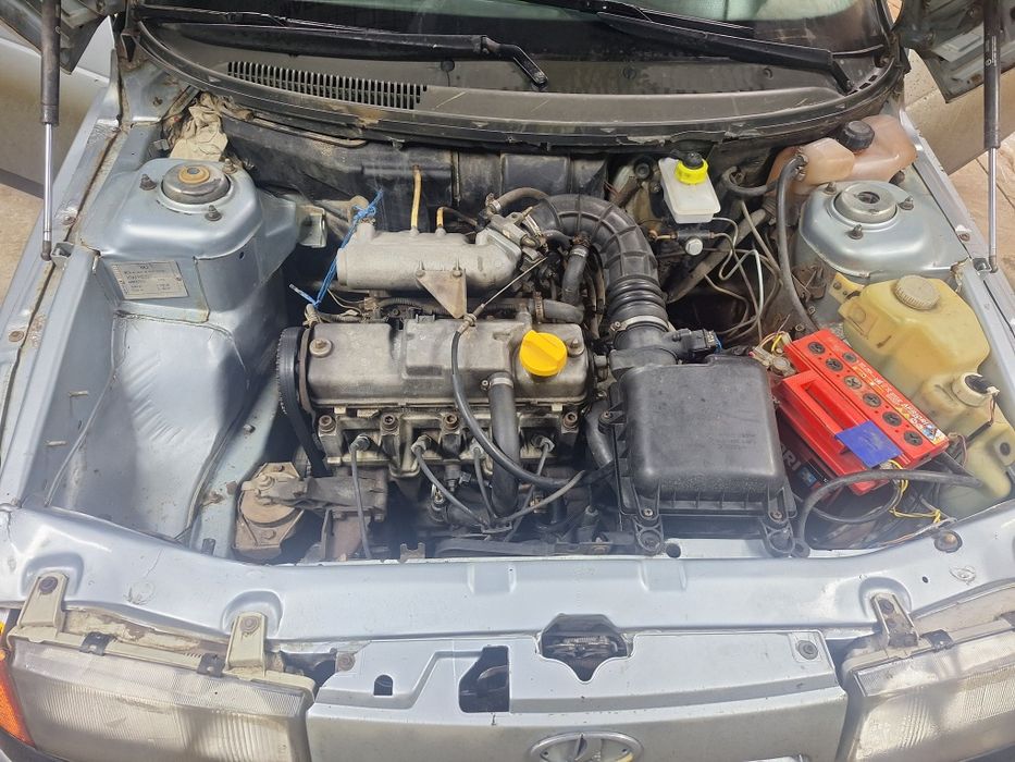 продам или обмен КРС