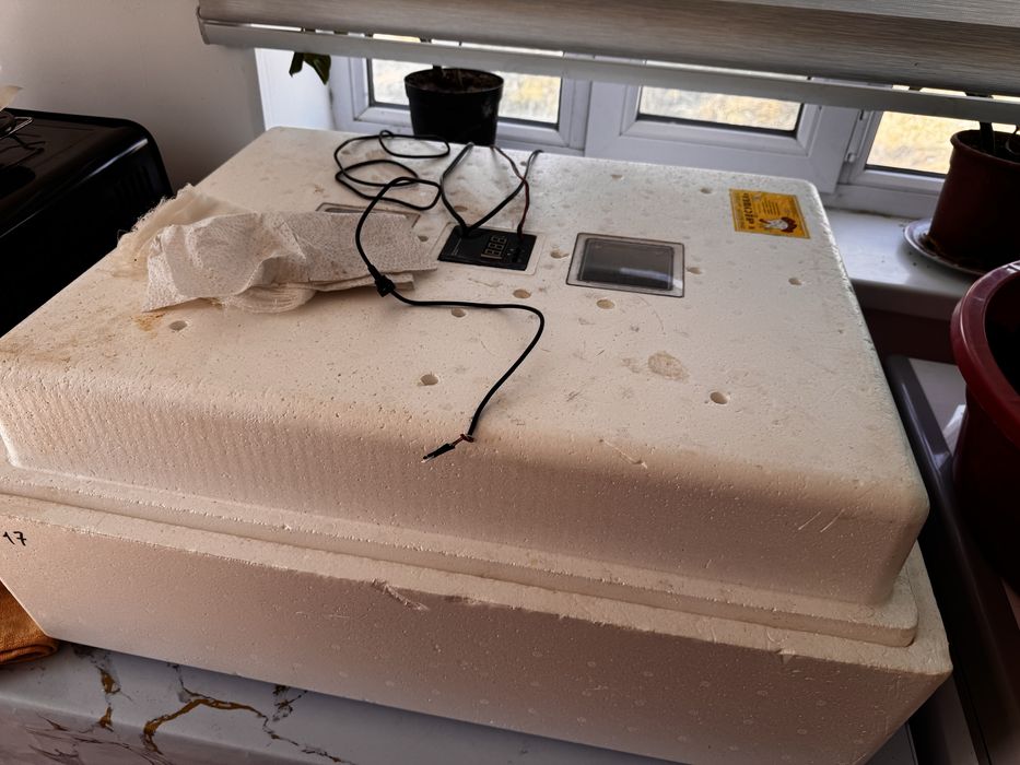 Инкубатор «Не сушка»