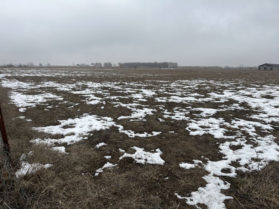 Участок 50 соток