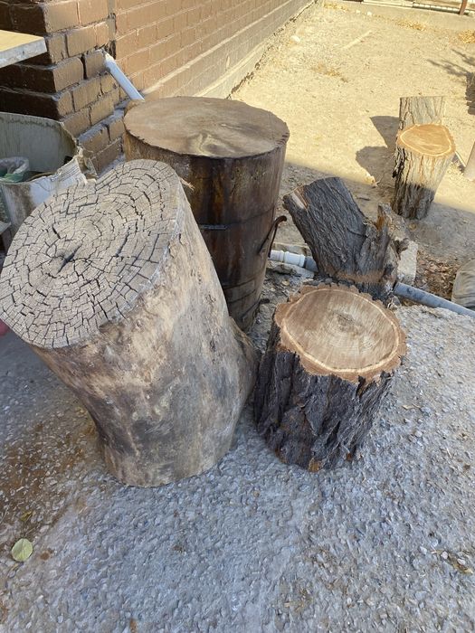 Чурбак ет шабатын сатылады