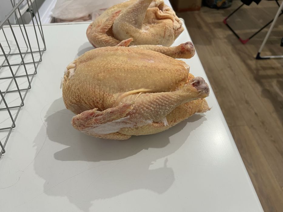 Домашний бройлер без гмо