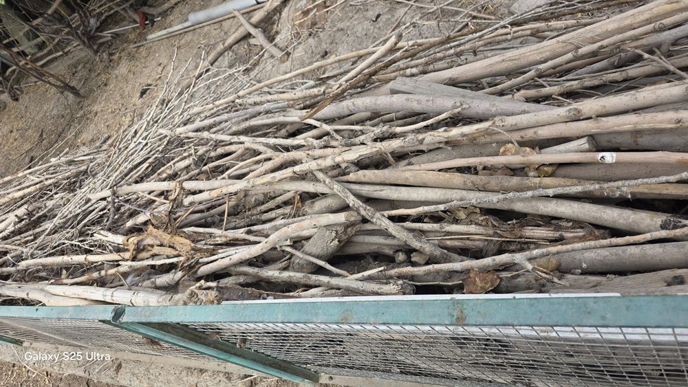 Отын бар Сатылатын