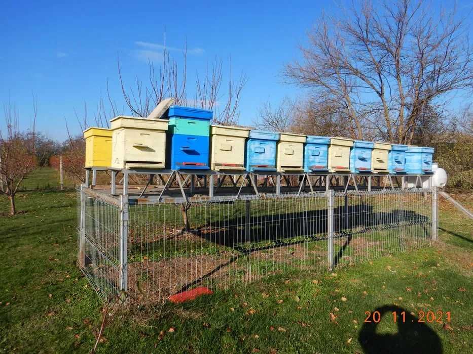 Пчеларски платформи