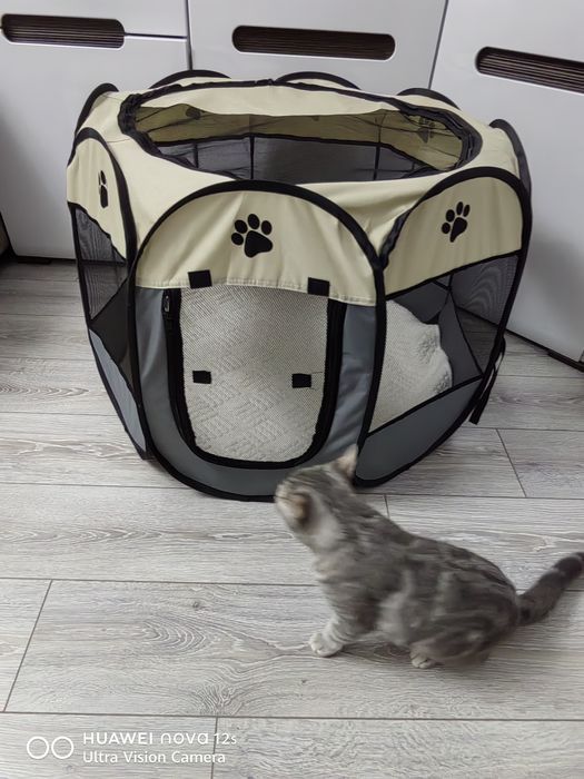 Продам вольер для котят и щенков.