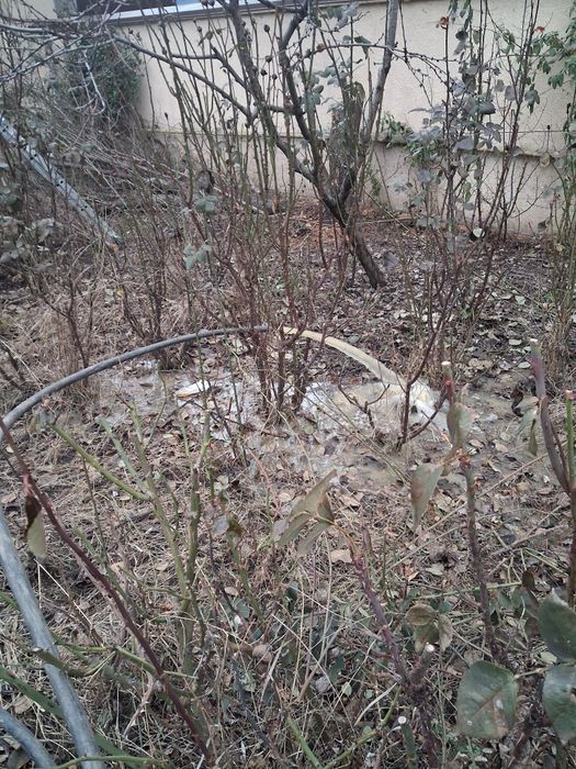 Executăm puturi apa denisipari prelungiri