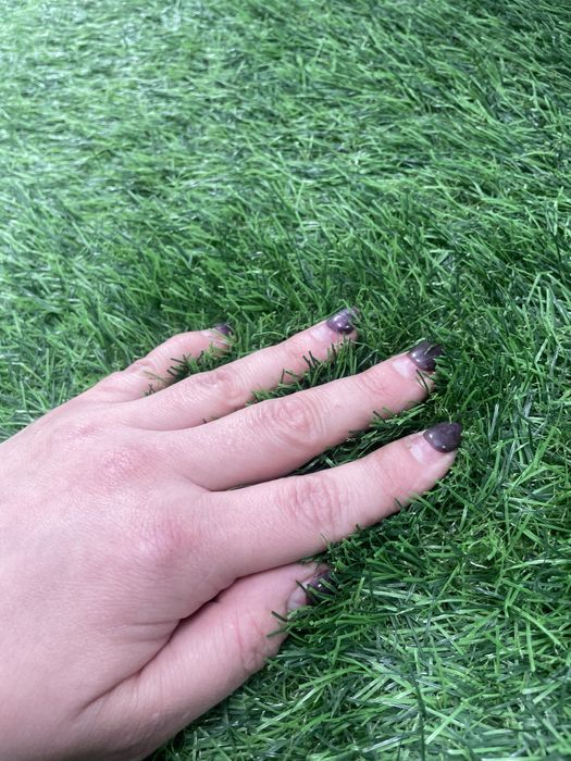 Газон б/у 10 м. Кв