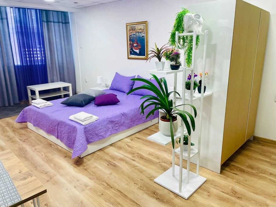 Central studio 21 65€