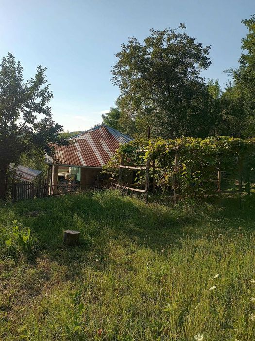 Casă de vânzare Chiojdeanca