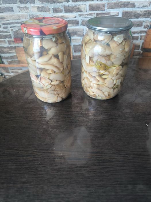 Грибочки  домашние