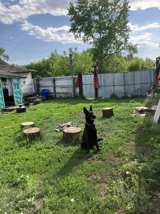 Дом Село Продажа Срочно