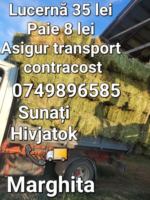 Lucerna si paie de vanzare !