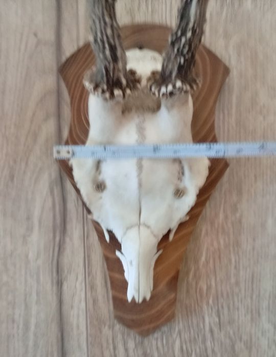 Decorațiune de perete