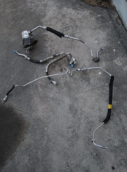 Nekisiya  kandisiyoner kamplet gm