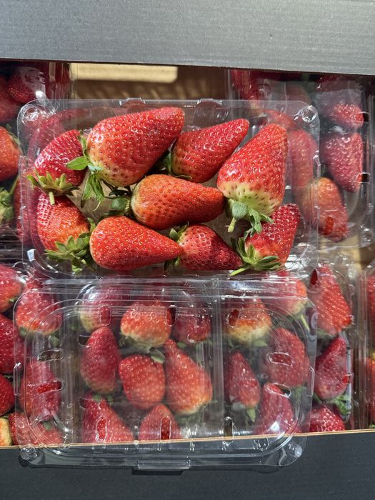 Клубника оптом Египет по 15000