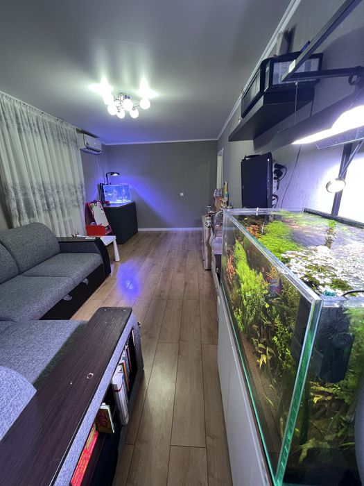 2х комнатная квартира