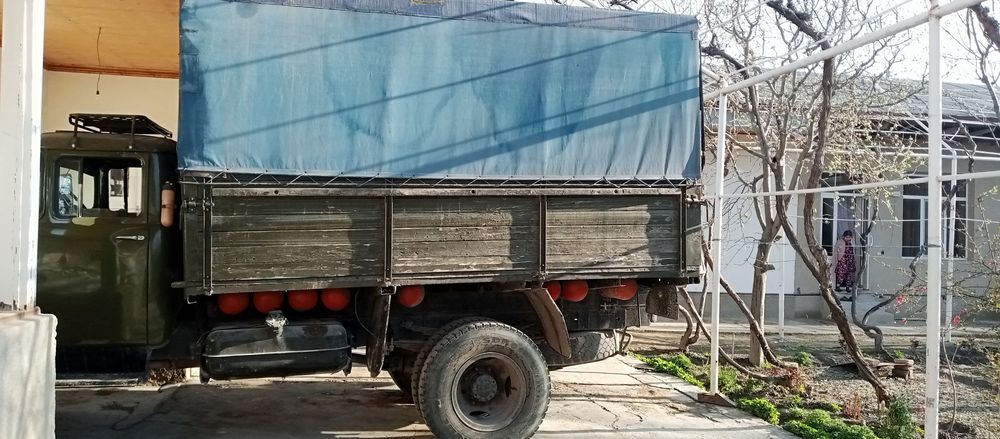 Zil xadavoylari yaxshi mator moy yemaydi