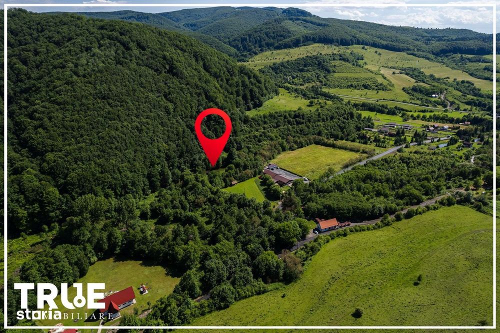 Teren intravilan 2.800 m² în Câmpu Cetății – liniște și natură