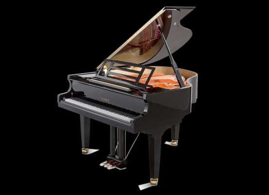 Роял Feurich 162 – DYNAMIC I