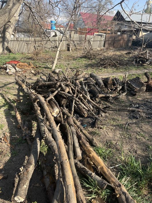 Отдам дрова бесплатно