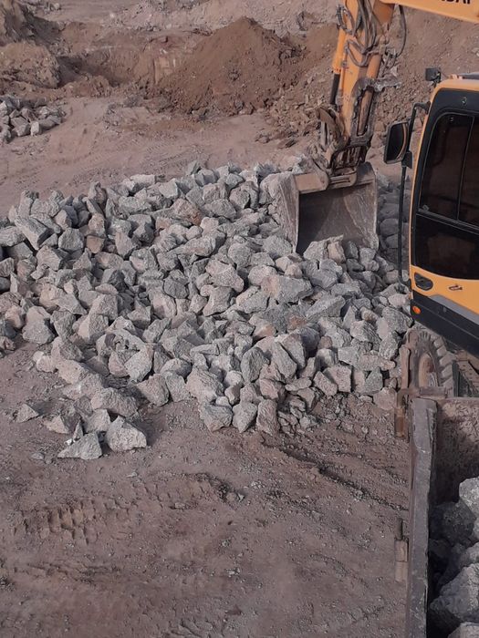 Блужник  БЛУЖНИК