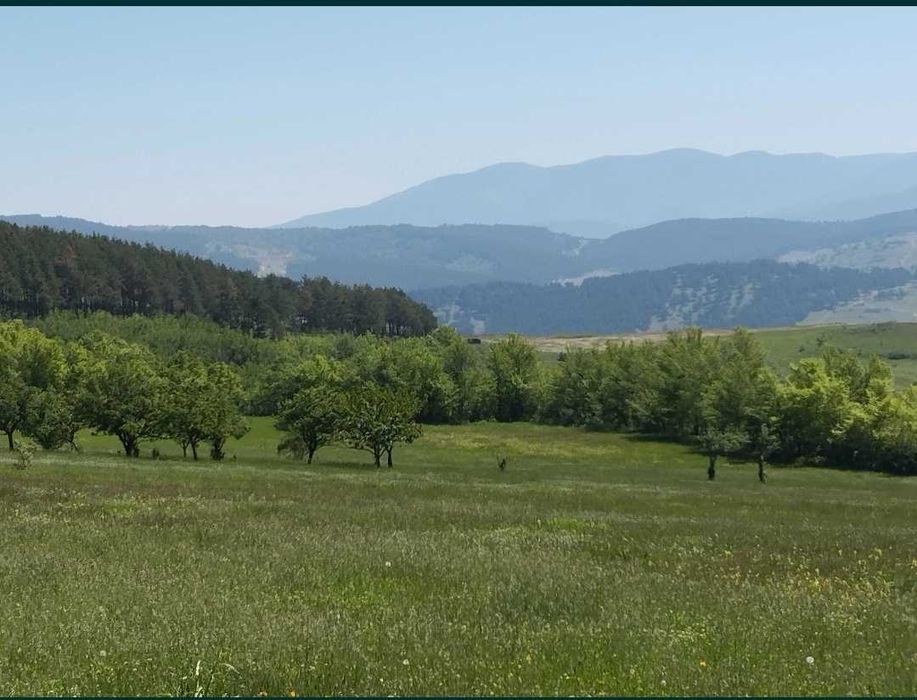 Продава се Земеделски имот в Велинград -  кв.м за 20 €/дка - Снимка #1