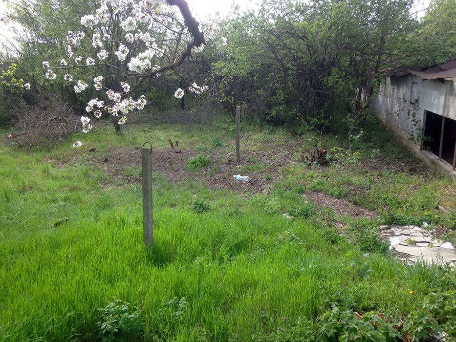 Дворно място гр.Шумен с.Панайот Волов на главен пат