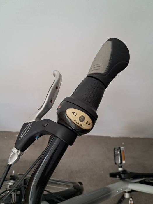 Bicicletă bărbați Curtis Trekking | Cadru Aluminiu | Shimano Nexus 7 Viteze . Full echipată, Confort