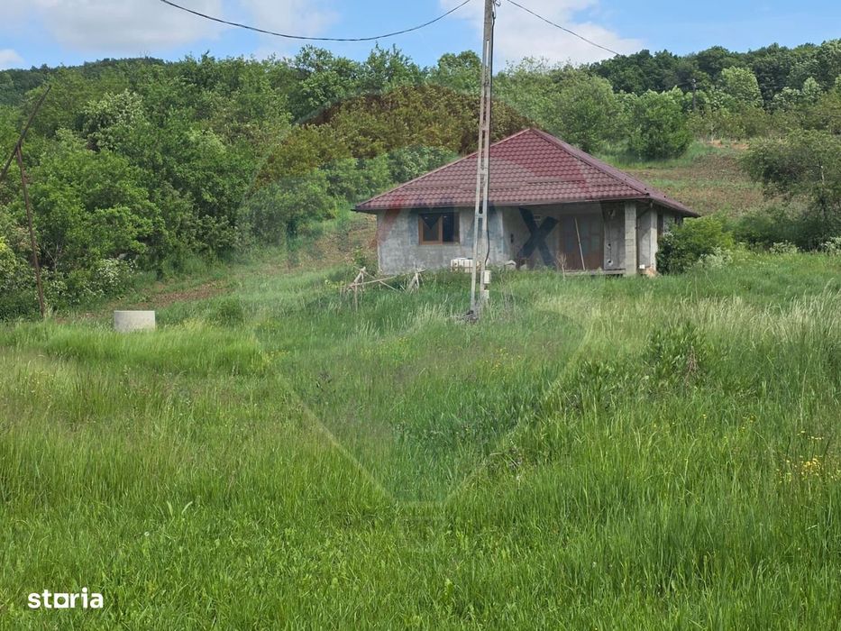 Casă la roșu cu teren 4.234 mp, cadru natural deosebit – Deag, Iernut